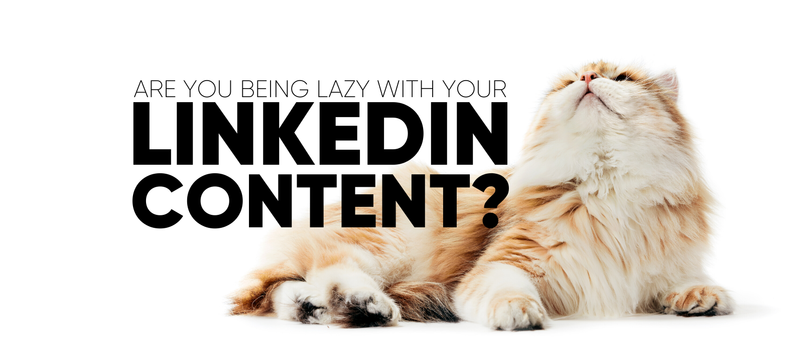 Are You Being Lazy with Your LinkedIn Content? - Oechsli